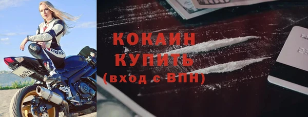 PSILOCYBIN Заводоуковск