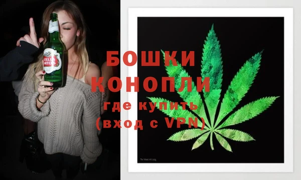 PSILOCYBIN Заводоуковск