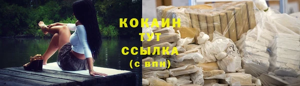PSILOCYBIN Заводоуковск