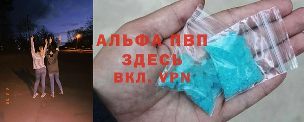 PSILOCYBIN Заводоуковск