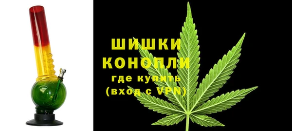 PSILOCYBIN Заводоуковск