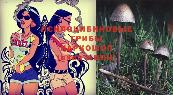PSILOCYBIN Заводоуковск